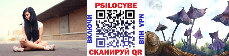 Купить закладки  Ессентуки  Псилоцибиновые грибы мухоморы 